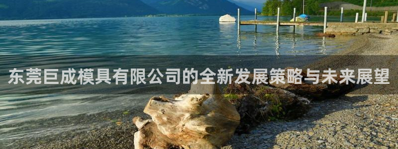 太阳集团是真的吗：东莞巨成模具有限公司的全新发展策略与未来展望