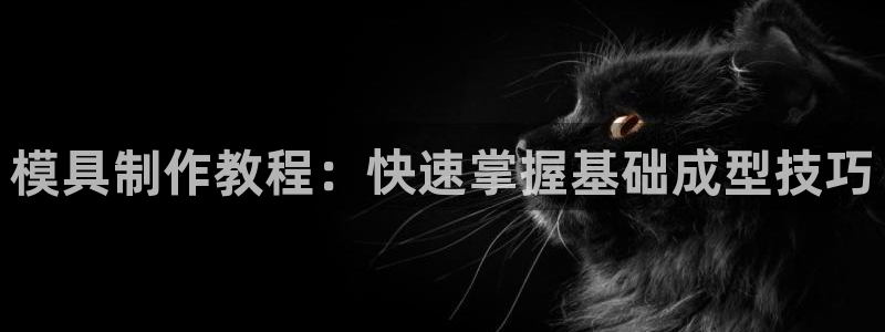 太阳集团官网：模具制作教程：快速掌握基础成型技巧