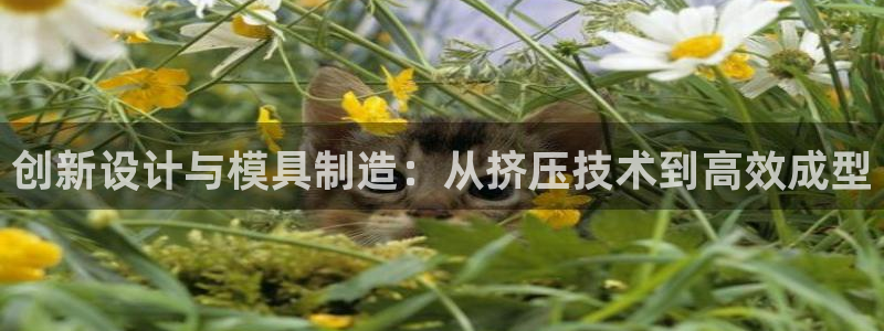 太阳集团城网站：创新设计与模具制造：从挤压技术到高效成型