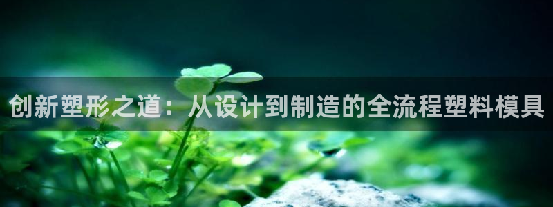太阳集团的法人代表：创新塑形之道：从设计到制造的全流程塑料模具