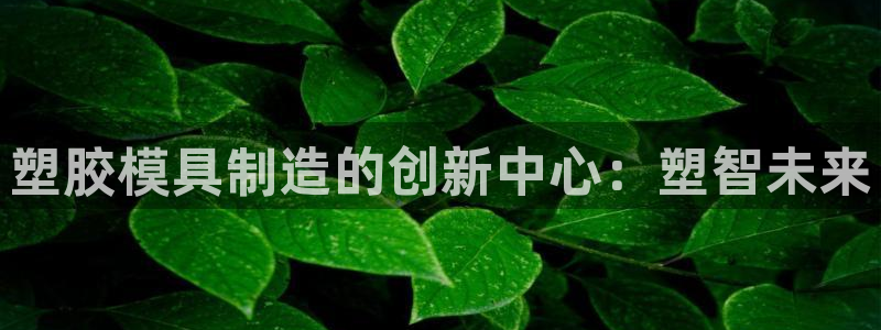 太阳诚集团：塑胶模具制造的创新中心：塑智未来