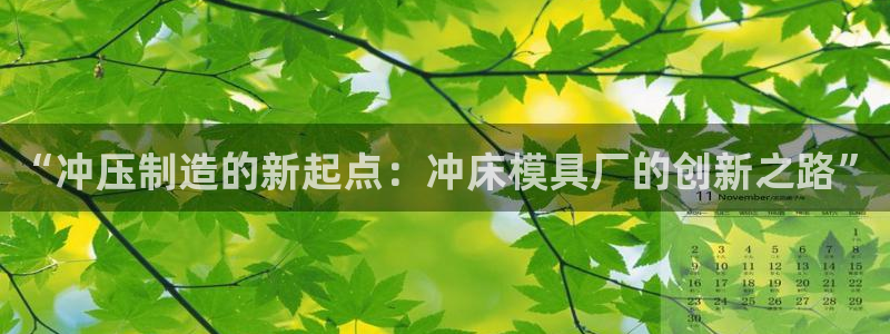 冷太阳演员表：“冲压制造的新起点：冲床模具厂的创新之路”