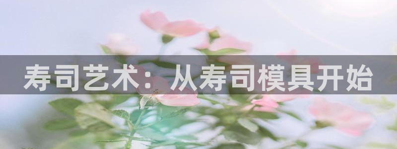 太阳集团tcy8722电子游戏：寿司艺术：从寿司模具开始