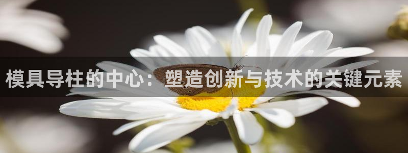 太阳集团是真的吗：模具导柱的中心：塑造创新与技术的关键元素