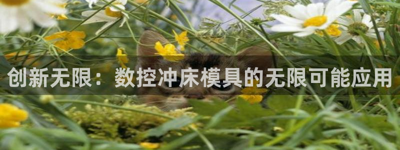 太阳成集团游戏古天乐：创新无限：数控冲床模具的无限可能应用