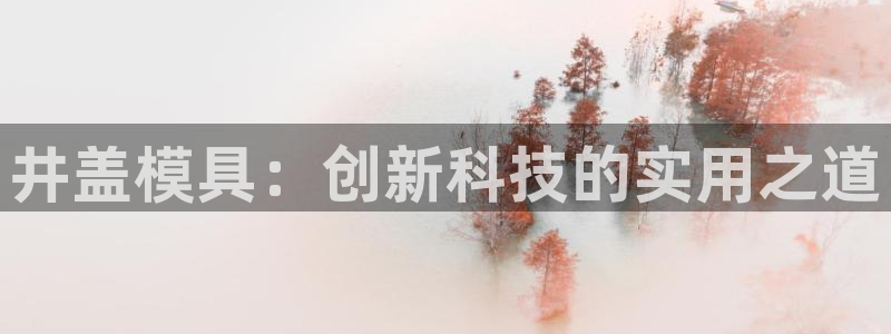 太阳集团入口官网网址：井盖模具：创新科技的实用之道