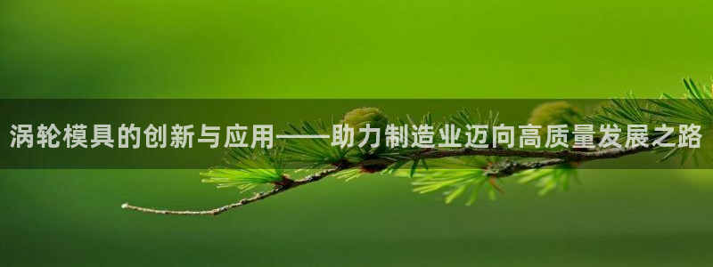太阳集团游戏网址：涡轮模具的创新与应用——助力制造业迈向高质量发展之路