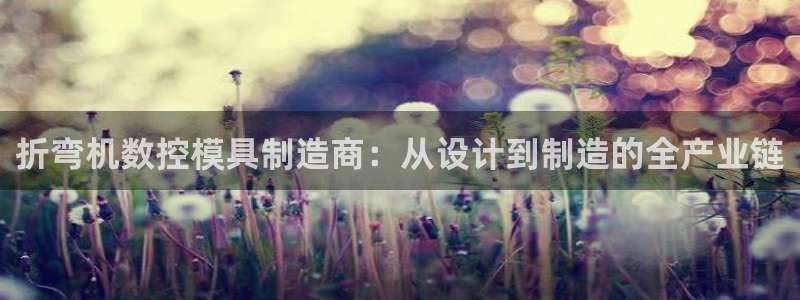 太阳成集团游戏合集：折弯机数控模具制造商：从设计到制造的全产业链