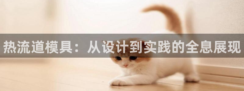 古天乐代言澳门太阳游戏网址：热流道模具：从设计到实践的全息展现