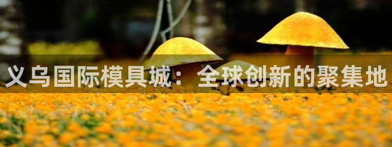 太阳集团董事长是谁呀：义乌国际模具城：全球创新的聚集地