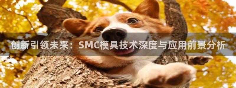 太阳集团城官方app：创新引领未来：SMC模具技术深度与应用前景分析