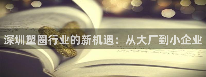 太阳商城贵宾会：深圳塑圈行业的新机遇：从大厂到小企业