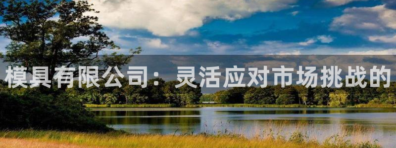 太阳集团城2017：模具有限公司：灵活应对市场挑战的