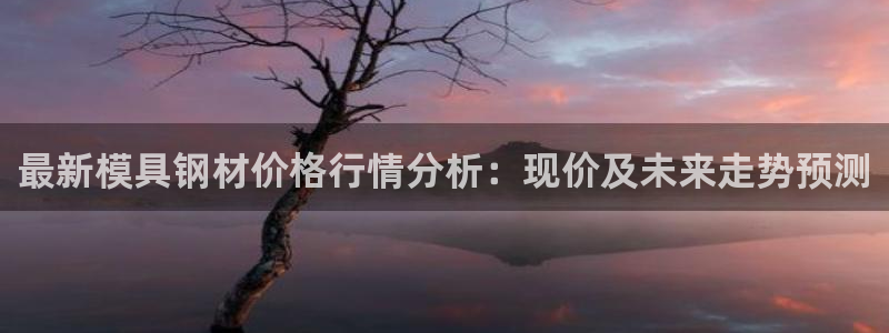 太阳集团公司董事长：最新模具钢材价格行情分析：现价及未来走势预测