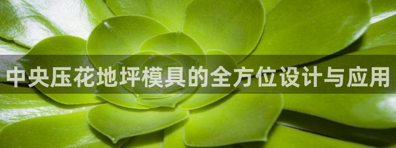 太阳集团tcy8722-主页|欢迎您：中央压花地坪模具的全方位设计与应用