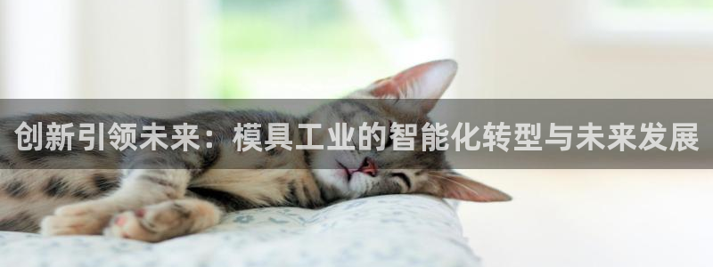 太阳成集团游戏是正规平台嚒：创新引领未来：模具工业的智能化转型与未来发展