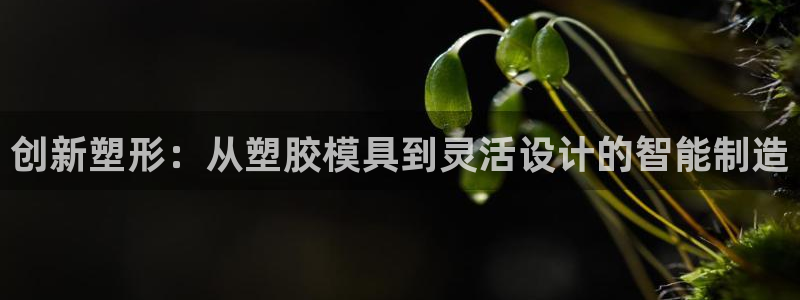 太阳控股集团有限公司董事长：创新塑形：从塑胶模具到灵活设计的智能制造