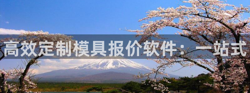 太阳成集团洗米华：高效定制模具报价软件：一站式