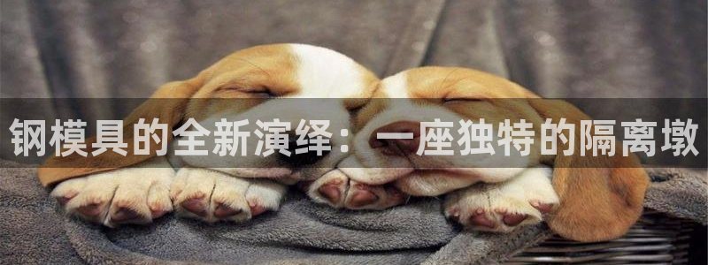 太阳gg注册/登录：钢模具的全新演绎：一座独特的隔离墩