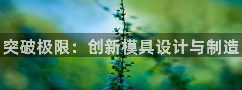 太阳成集团是干嘛的