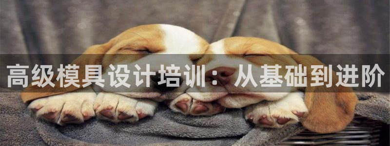 太阳集团是什么电视剧：高级模具设计培训：从基础到进阶
