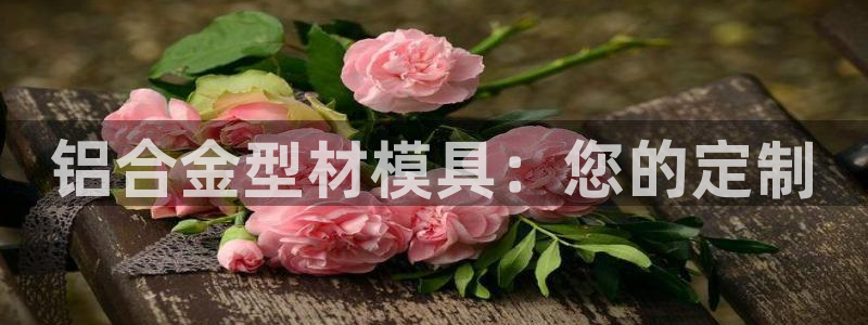 太阳1城集团网址：铝合金型材模具：您的定制