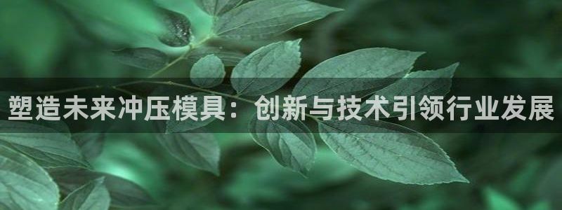 太阳控股集团有限公司董事长