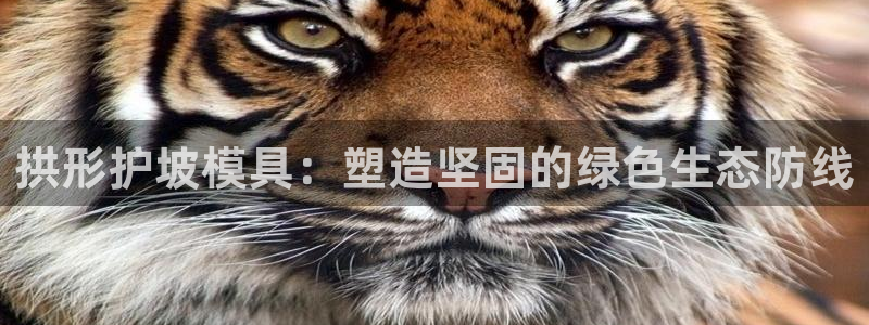 太阳集团房地产