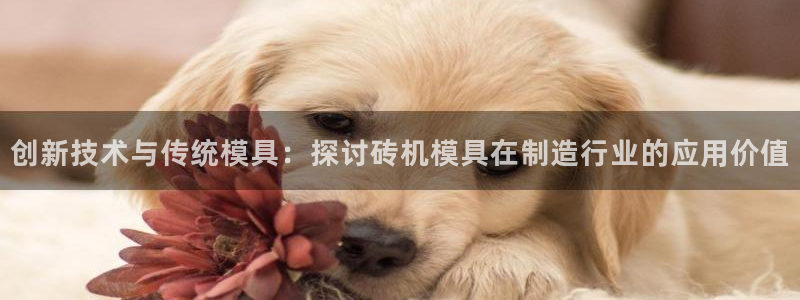 太阳集团2018网址：创新技术与传统模具：探讨砖机模具在制造行业的应用价值