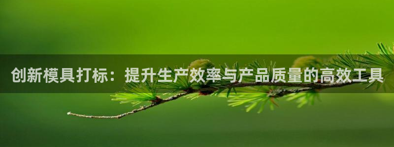 古天乐和太阳集团什么关系知乎：创新模具打标：提升生产效率与产品质量的高效工具