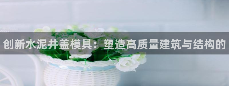 太阳2平台app下载：创新水泥井盖模具：塑造高质量建筑与结构的