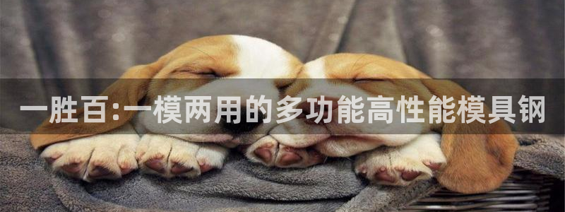 太阳成集团tyc1050：一胜百:一模两用的多功能高性能模具钢