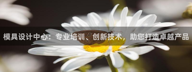 太阳科技集团