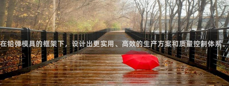太阳集团怎么样：在铅弹模具的框架下，设计出更实用、高效的生产方案和质量控制体系。