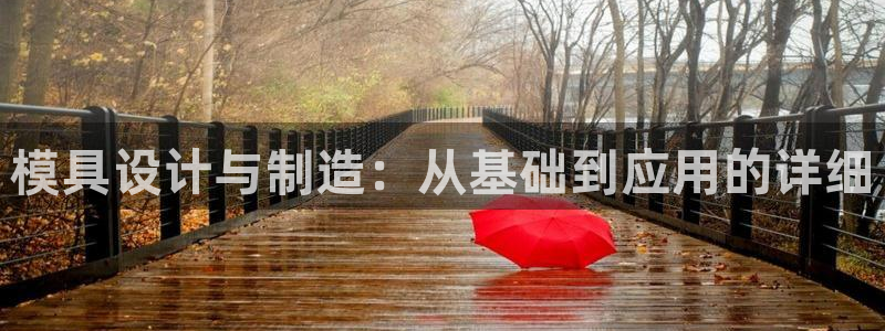 太阳董事长