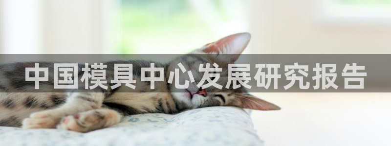 太阳集团游戏城旧版：中国模具中心发展研究报告