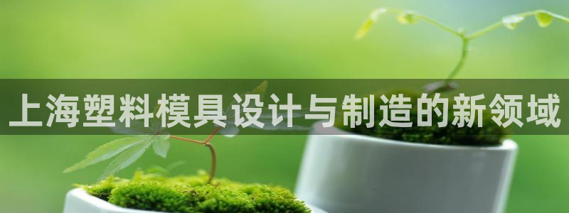 太阳集团娱乐全部网址视频：上海塑料模具设计与制造的新领域