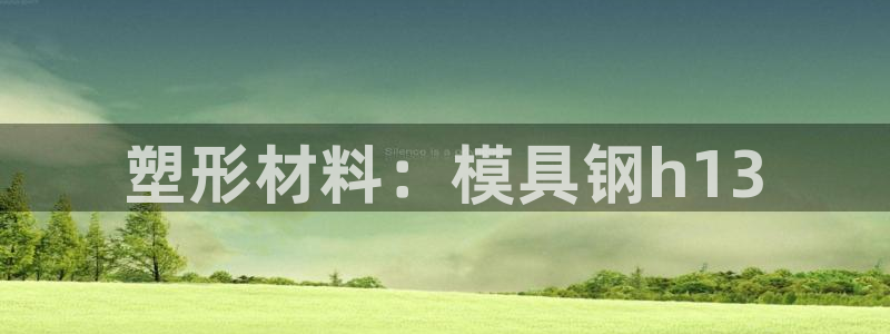 太阳gg官网登录：塑形材料：模具钢h13