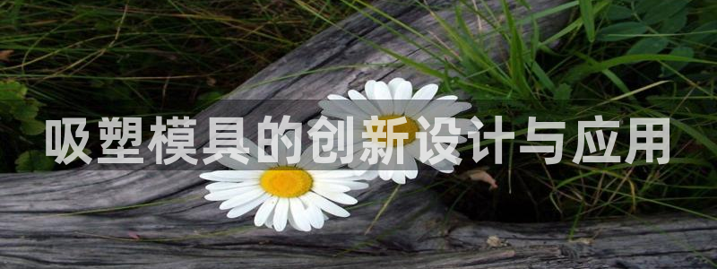 电子游戏太阳神官方网站：吸塑模具的创新设计与应用