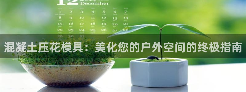 太阳2平台下载：混凝土压花模具：美化您的户外空间的终极指南