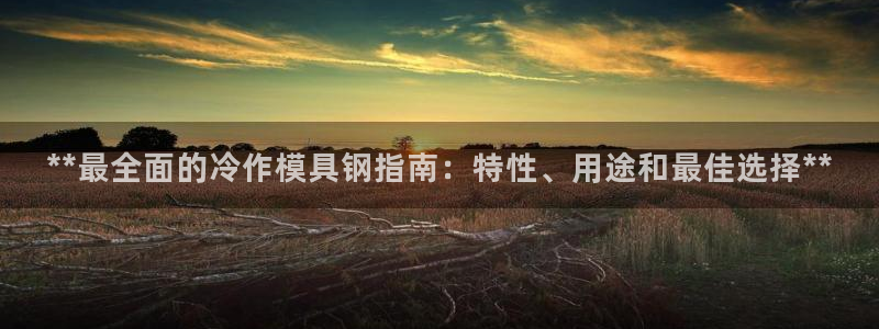 太阳集团城网址娱网：**最全面的冷作模具钢指南：特性、用途和最佳选择**