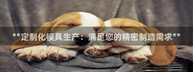 太阳集团城网站2007：**定制化模具生产：满足您的精密制造需求**