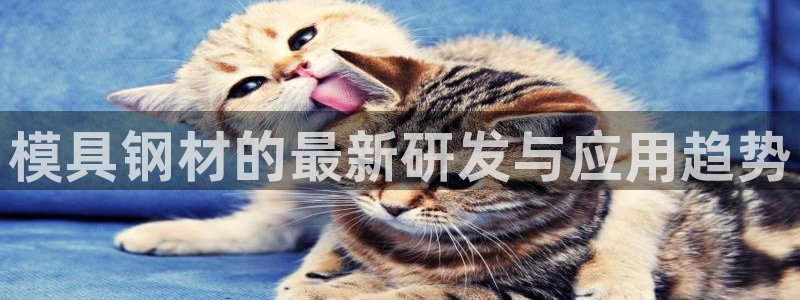 太阳成集团电子游戏：模具钢材的最新研发与应用趋势