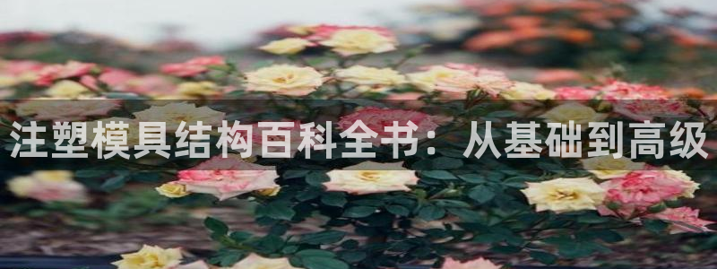 太阳成集团tyc234cc投资控股集团：注塑模具结构百科全书：从基础到高级