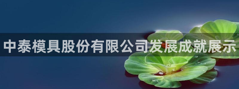 太阳集团游戏：中泰模具股份有限公司发展成就展示