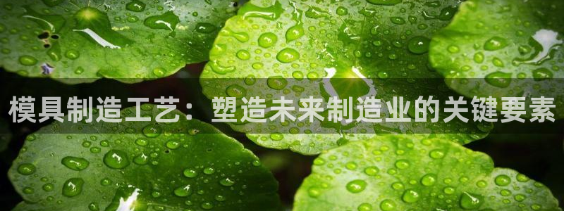 太阳gg官网登录：模具制造工艺：塑造未来制造业的关键要素