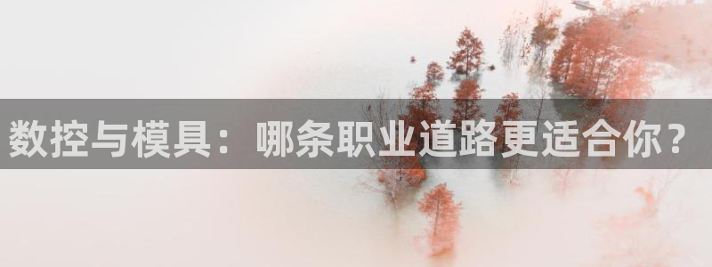 太阳游戏盒子：数控与模具：哪条职业道路更适合你？