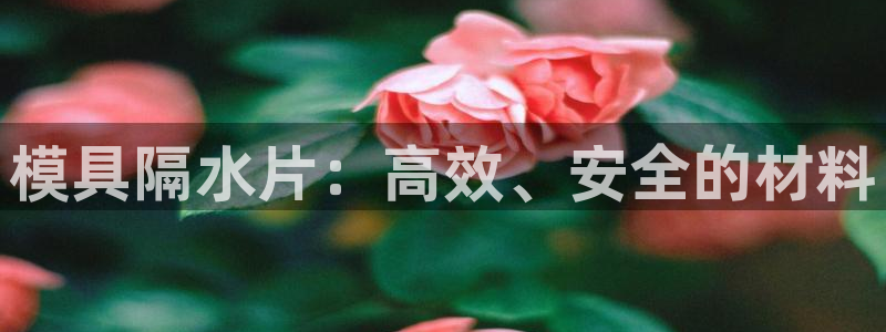 太阳集团城所有网址是多少：模具隔水片：高效、安全的材料