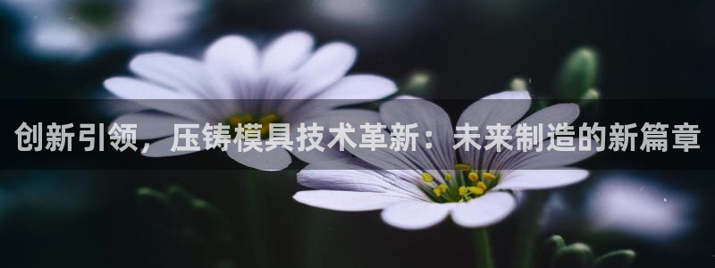 太阳集团sungroup：创新引领，压铸模具技术革新：未来制造的新篇章