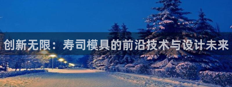 太阳集团城网址：创新无限：寿司模具的前沿技术与设计未来